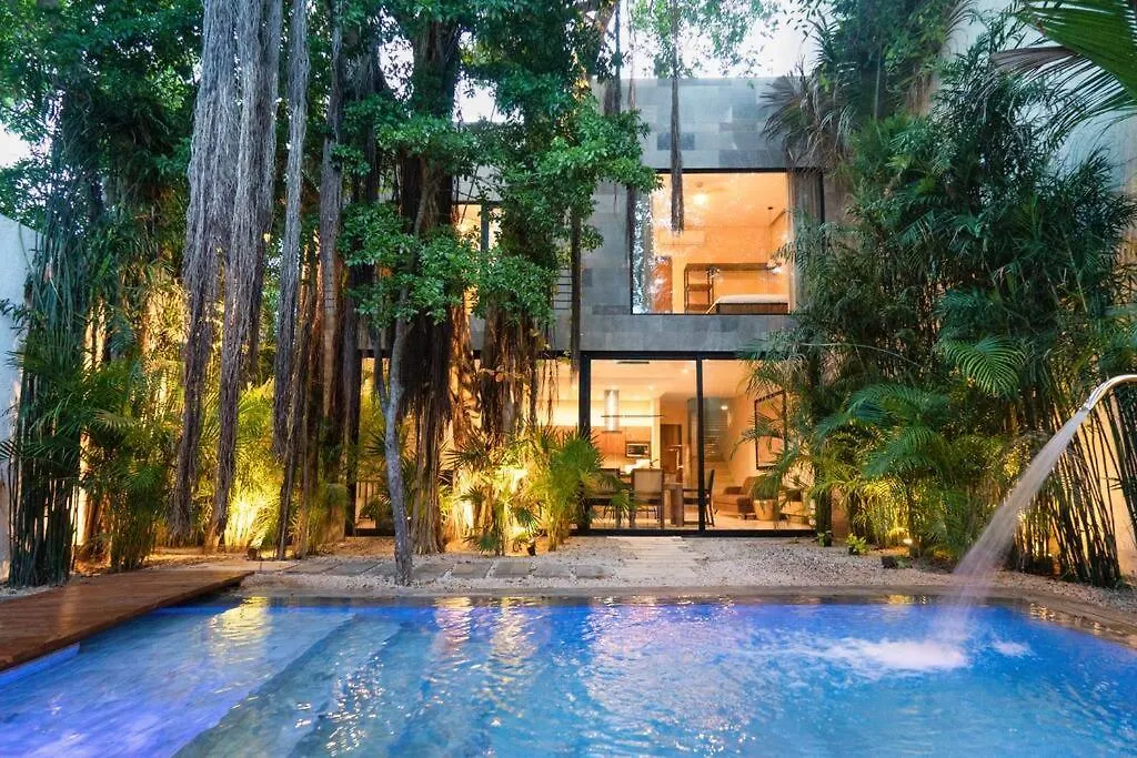 Enjoy Nature At Villa With 100 Year Old Tree, Private Pool & Concierge Service 0*, Tulum