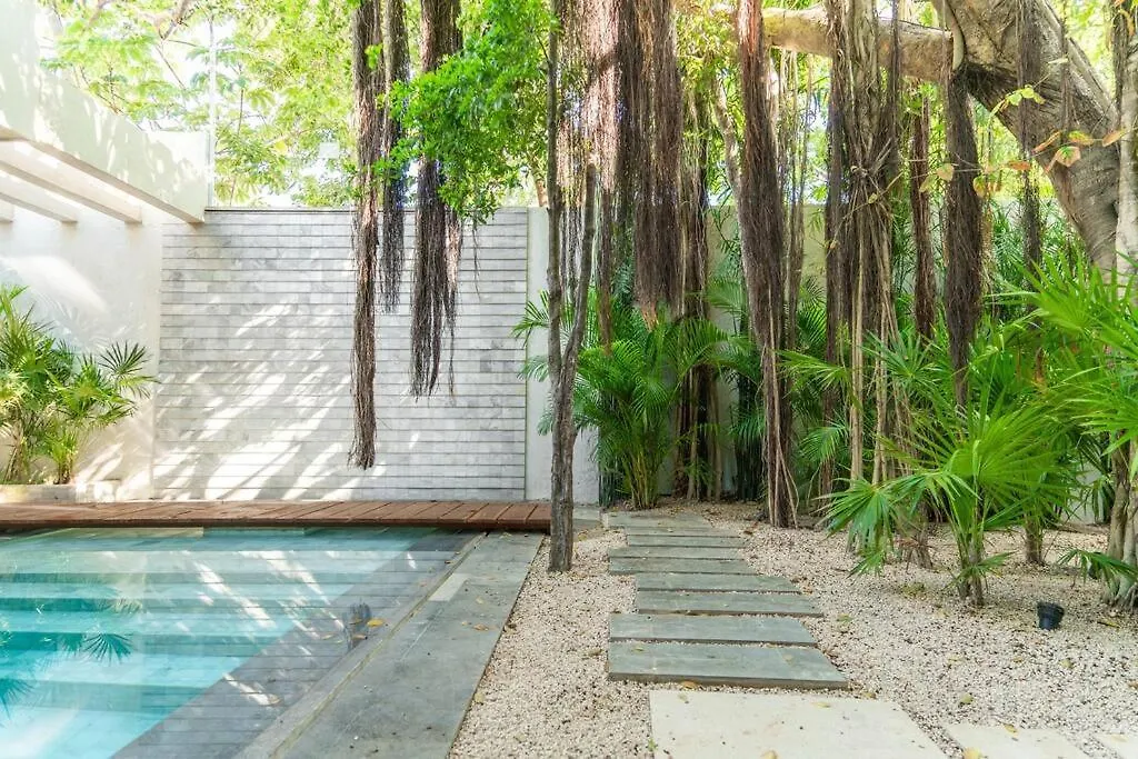 Enjoy Nature At Villa With 100 Year Old Tree, Private Pool & Concierge Service Mexico