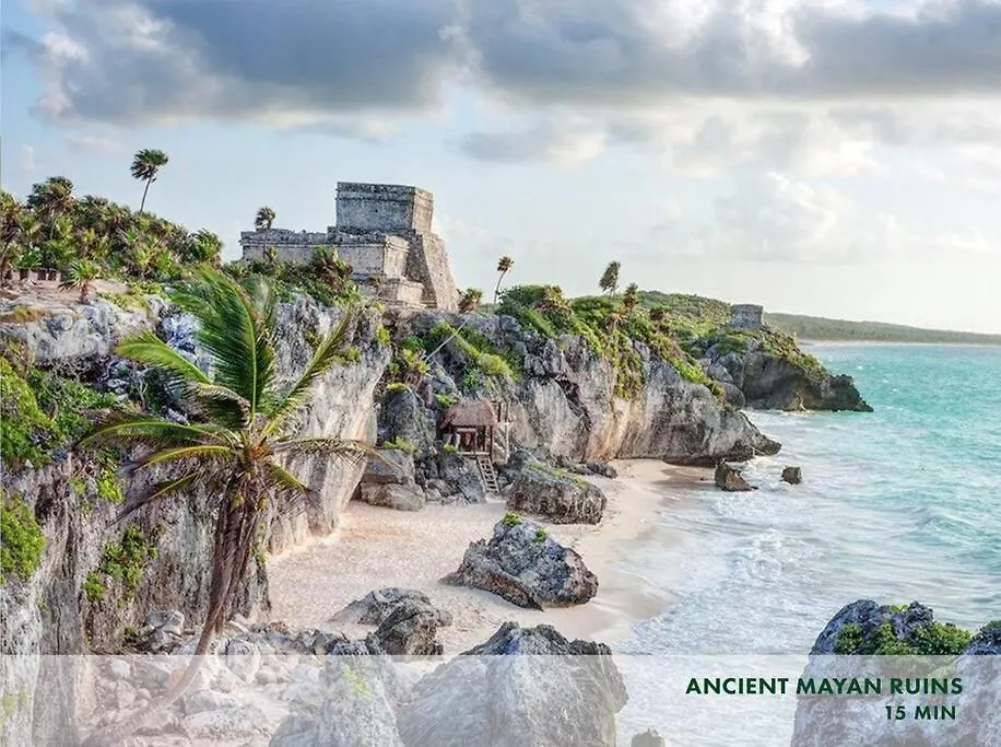 Enjoy Nature At Villa With 100 Year Old Tree, Private Pool & Concierge Service Mexico