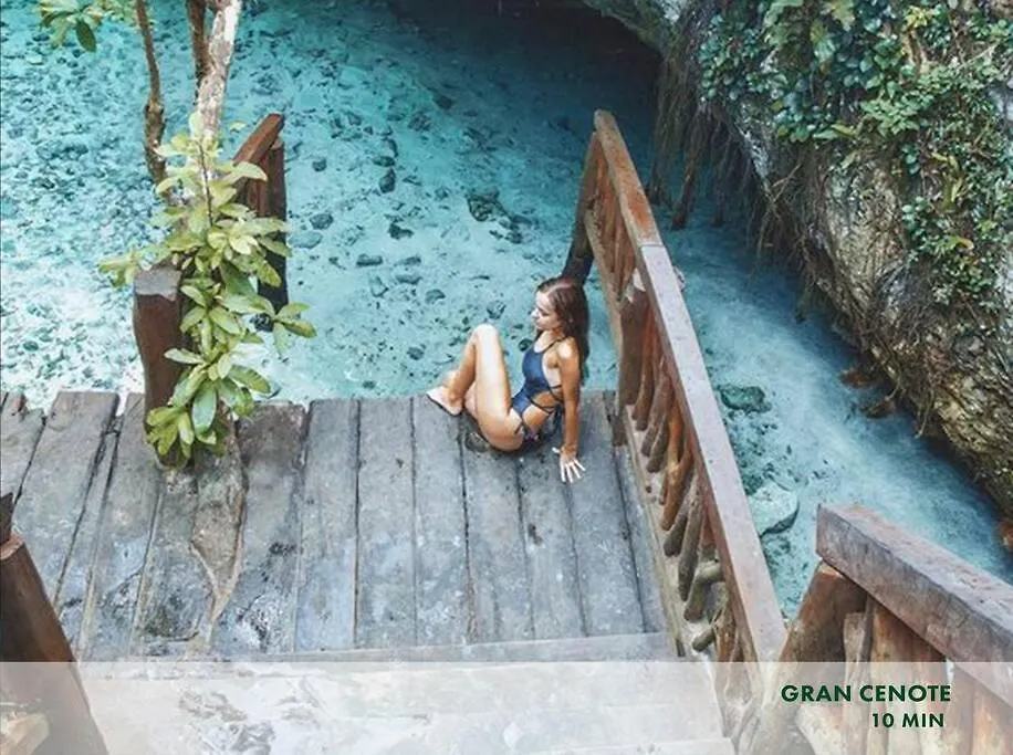 Enjoy Nature At Villa With 100 Year Old Tree, Private Pool & Concierge Service